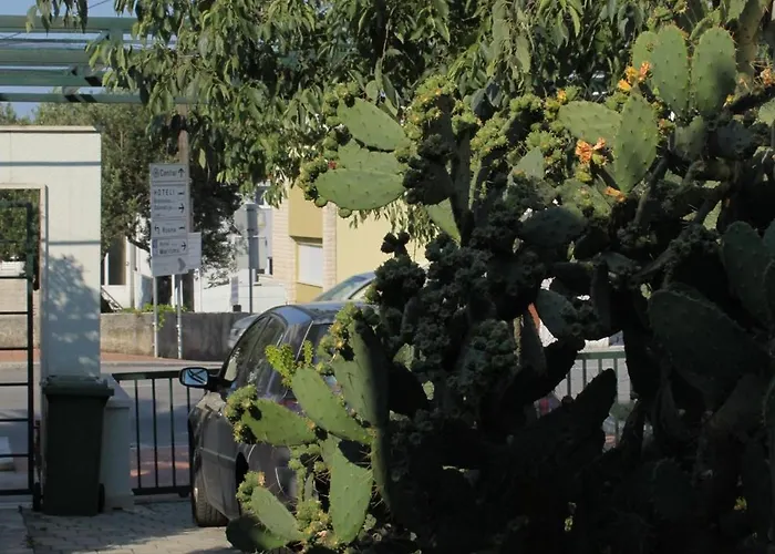 With Parking Space - 6632 * Makarska